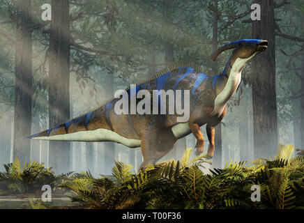 A parasaurolophus, a type of herbivorous ornithopod dinosaur of the hadrosaur family stands on two legs and calls out while staning ina dense forest. Stock Photo