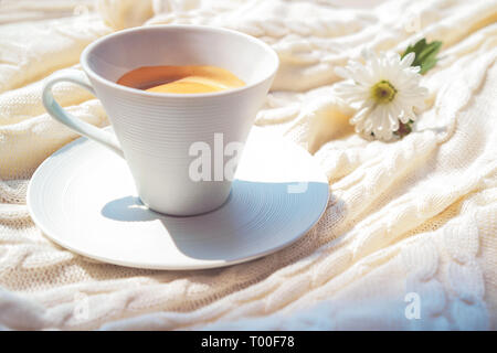 Coffee in white cup and nice white flower on the soft plaid in soft morning sunlight. Stock Photo