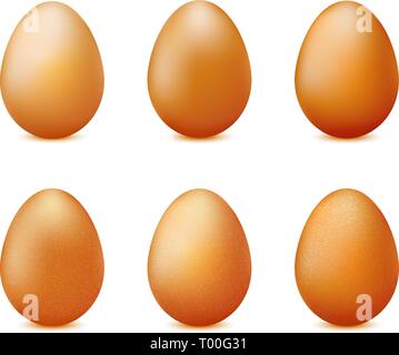 Realistic eggs set isolated on white background vector Stock Vector