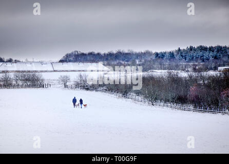 A couple, man and woman, walking two dogs through a winter landacape on the edge of an urban development Stock Photo