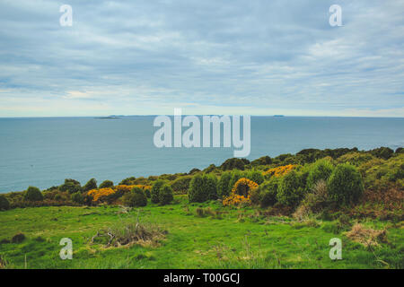 Oceanview from Bluff Hill, Southernmost point in New Zealand Stock Photo