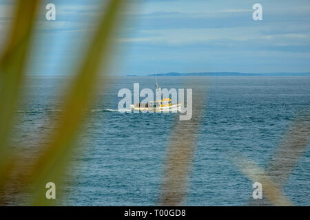 Oceanview from Bluff Hill Lookout, Southernmost point in New Zealand Stock Photo