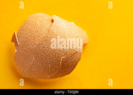 Broken chichen eggshell close up on a colored background ,  brown surface with dark brown spots Stock Photo
