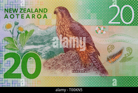 New Zealand 20 dollar paper currency note, Auckland, New Zealand Stock Photo