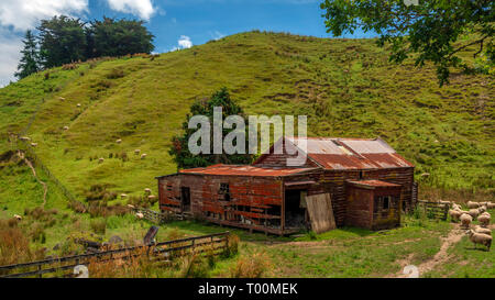 Lichen covered and abandoned dwelling, now used for sheep and farm storage. Hunterville, North Island, New Zealand. Stock Photo