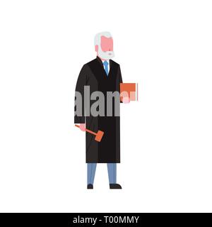 judge man court worker in judicial robe holding book and hummer low justice professional occupation concept male cartoon character full length white Stock Vector