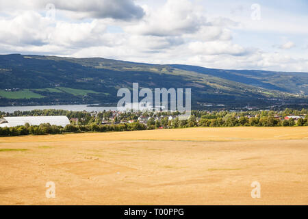 Landscape with wheat field, river and mountains in Norway. Stock Photo