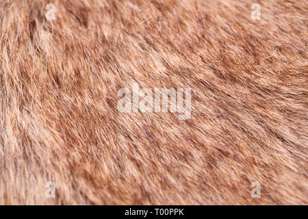 Artificial fur background closeup picture. Stock Photo