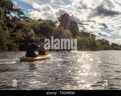 View of kayakers and Coati Lagoon near the Javari River, the tributary of the Amazon River, Amazonia. Selva on the border of Brazil and Peru. South Am Stock Photo