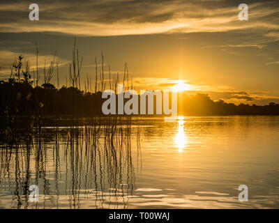 Sunset view of Coati Lagoon near the Javari River, the tributary of the Amazon River, Amazonia. Selva on the border of Brazil and Peru. South America. Stock Photo