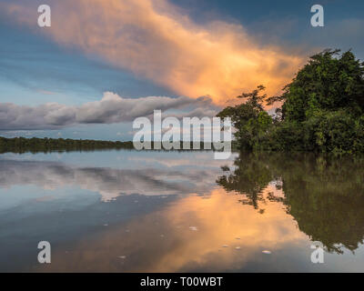 Sunset view of Coati Lagoon near the Javari River, the tributary of the Amazon River, Amazonia. Selva on the border of Brazil and Peru. South America. Stock Photo