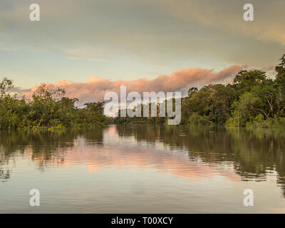 Sunset view of Coati Lagoon near the Javari River, the tributary of the Amazon River, Amazonia. Selva on the border of Brazil and Peru. South America. Stock Photo