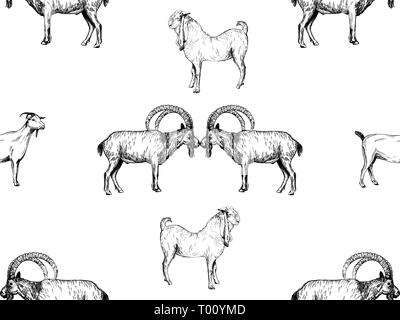 Seamless pattern of hand drawn sketch style goats isolated on white background. Vector illustration. Stock Vector