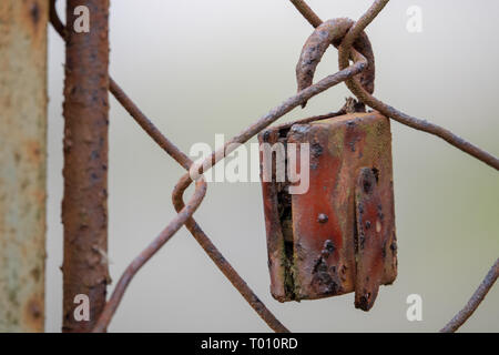 a rusty padlock hanging from a fence Stock Photo