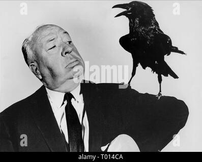 ALFRED HITCHCOCK, CROW, THE BIRDS, 1963 Stock Photo