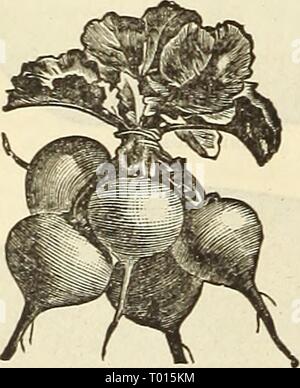 Dreer's garden calendar : 1886 . dreersgardencale1886henr Year: 1886  Large White Slmmek Iikmi RauI'jh Stock Photo