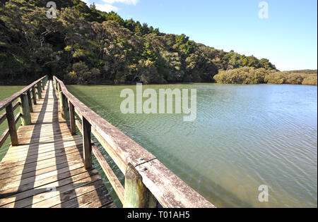 The track from the Waitangi Treaty Grounds to Haruru falls, crosses this bridge over the Waitangi river then Mangrove swamp then the falls. Stock Photo