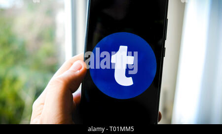 Tumblr app on smartphone hand Stock Photo