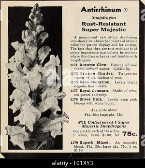 Dreer's garden book for 1941 . dreersgardenbook1941henr Year: 1941  in Flower Seeds for 1941 Stock Photo