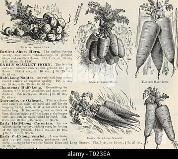 Dreer S Garden Calendar 16 Dreersgardencale16henr Year 16 For The Vegetable Garden 13 Carrot Mohren Ger Carotte Fr Zanahoria Sp One Ounce Will Sow One Hundred Feet Of Drill Three To