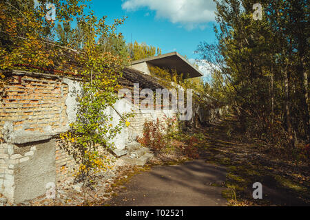 Old football stadium in Chornobyl exclusion zone. Radioactive zone in Pripyat city - abandoned ghost town. Chernobyl history of catastrophe Stock Photo