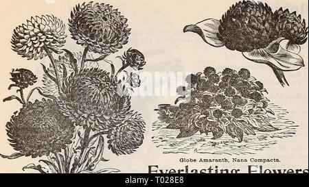 Dreer's garden calendar : 1897 . dreersgardencale1897henr Year: 1897  70 DREER'S RELIABLE FLOWER SEEDS. Stock Photo