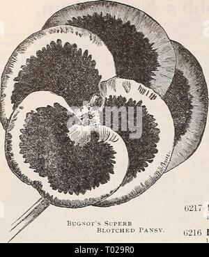 Dreer's garden calendar : 1899 . dreersgardencale1899henr Year: 1899  DREER'S RELIABLE FLOWER SEEDS.    PANSIES. Bug.n'ot's Superb Blotched GIANT TRIMARDEAU VARIETIES. The largest flowering of all Pansies ; robust growers good range of colors (See cut.) PER PKT. 6244 Giant, Striped 6255 Black . 6257 White . 6256 Yellow . 6219 Mixed . This attractive plant is too well known to require any description, as it is a favorite with all; the seed can be sown from September to March. The best plants are obtained from seed sown in the Autumn, and protected during Winter ; these flower early in the Sprin Stock Photo