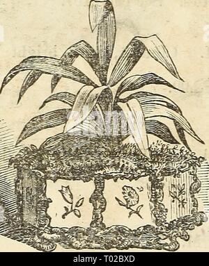 Dreer's garden calendar : 1874 . dreersgardencale1874henr Year: 1874  106 dreee's garden calendar. PALMS. The following is a select list of rare and handsome varieties, which Ave can recommend for easy culture either for apartments or conserva- tory decoration. • ARECA AUEEA. Fine yellow stems, strong SIO.OO AKECA RUBRA. Handsome red stems 3.00 CHAMJi:DOEEA AMAZOXICA From S5.00 to 12.00 CHAM.EROPS EXCELSA. A handsome fan palm. $1.00 to 5.00 CORYPHA AUSTRALIS. (Australian Fan Palm). S2.00 to 5.00 CYCAS REVOLUTA. (Sago Palm) $2.50 to 10.00 JUB^A SPECTABILIS. A magnificent varietv 5.00 LATAXLl BO Stock Photo