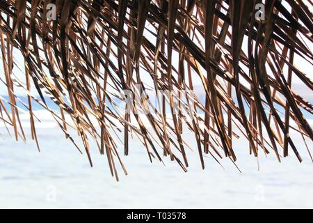 Roof of a hut made from woven coconut leaves, dried Stock Photo