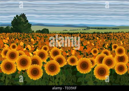 Bright field of sunflowers with bushes, trees and blue sky vector illustration Stock Vector