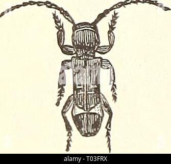 . Economic entomology for the farmer 36c A^' EC0X0MIC