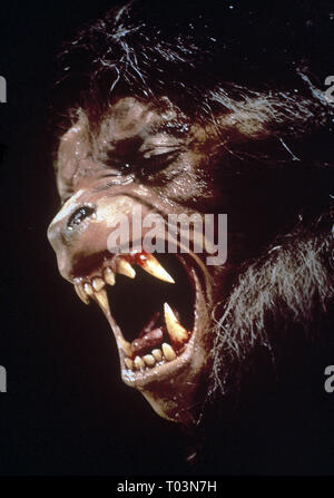 WEREWOLF, AN AMERICAN WEREWOLF IN LONDON, 1981 Stock Photo - Alamy