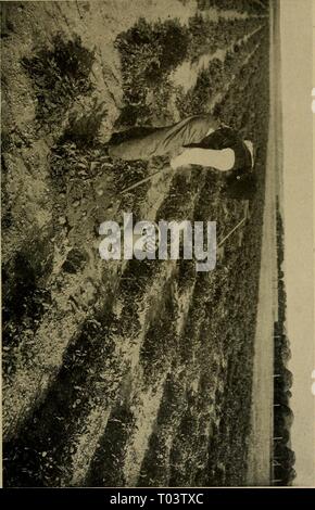 Dry-farming: its principles and practice . dryfarmingitspri00macd Year: 1909 Stock Photo