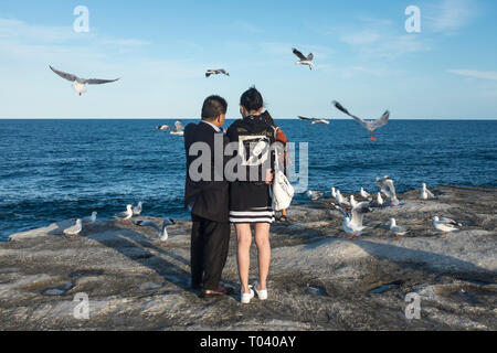 Sydney, NSW, Australoa Stock Photo