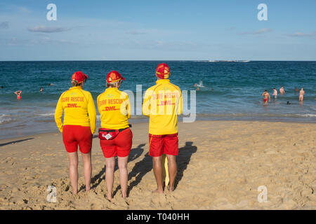 Lifeguards on Coogee beach, Sydney, NSW, Australia Stock Photo