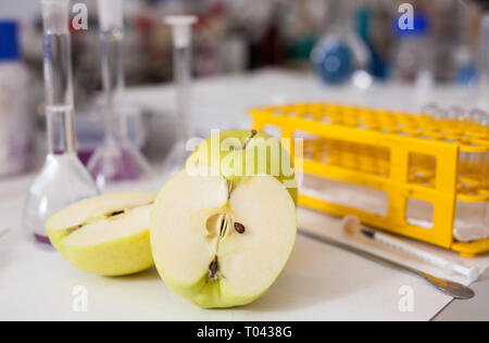 View of fresh ripe apples with test tubes and tools on table in research lab. Concept of genetic modification of fruits Stock Photo