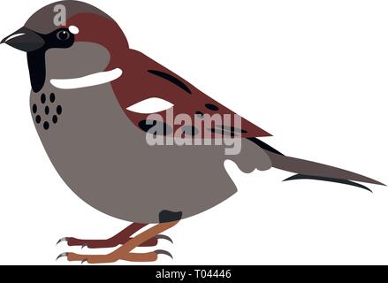 Sparrow. Simple color vector illustration isolated on white Stock Vector