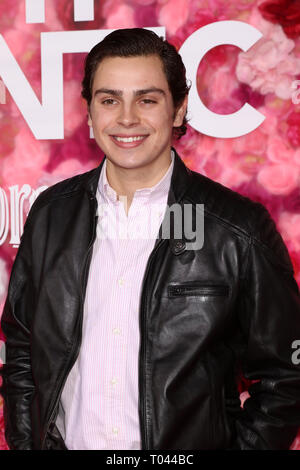 'Isn't It Romantic' Los Angeles Premiere - Arrivals  Featuring: Jake T Austin Where: Los Angeles, California, United States When: 12 Feb 2019 Credit: Nicky Nelson/WENN.com Stock Photo