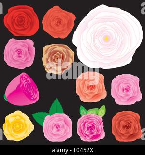 Set of different roses, vector illustration Stock Vector
