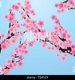 Cherry blossom, flowers of sakura, tree brunch, blue sky, spring background,vector illustration Stock Vector