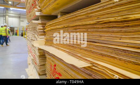 Closer look of the thin sheets of woods on the shelf inside the warehouse in the factory Stock Photo