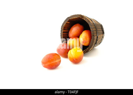 British Victoria plums in a brown wooden rustic plant pot and scattered on white background. Stock Photo