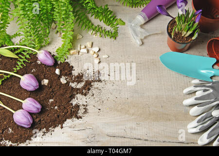 Spring Gardening Photography Background 10x6.5ft Wooden Wall Floor Background Glove Spade Watering Pot Flwoers Gardening Tools Background Wood Floor Texture