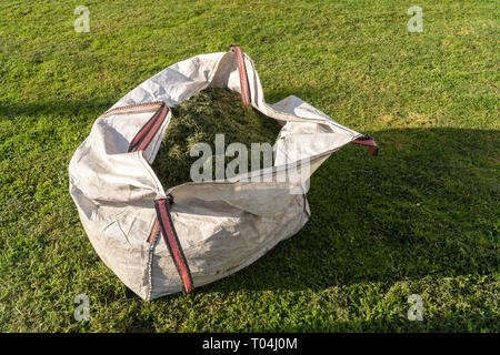 A full sack with freshly cut grass. Working in the garden, mowing the grass Stock Photo