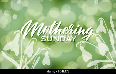Mothering Sunday 2018 typography on bokeh background with crocus flowers vector illustration. Hand-lettering in purple and green colors. For banner, f Stock Vector