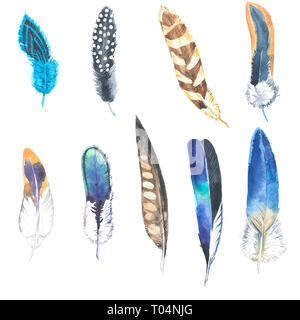 Watercolor illustration. Hand drawn feather set. Boho style. Elements for design. Cloth rug design. Stock Photo