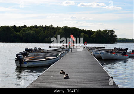 Ducks on the jetty at South Hanningfield Reservoir, between Billericay and Chelmsford in Essex Stock Photo