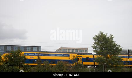 Yellow Dutch train Stock Photo