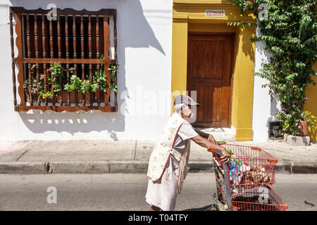 Cartagena Colombia,Center,centre,Getsemani,Hispanic Latin Latino ethnic immigrant immigrants minority,resident residents,senior seniors old citizen ci Stock Photo