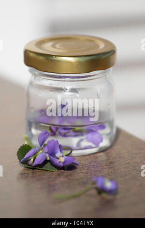 Spring, still life, violet, laburnum,  cake, pear tatin Budapest March 17, 2019 Stock Photo